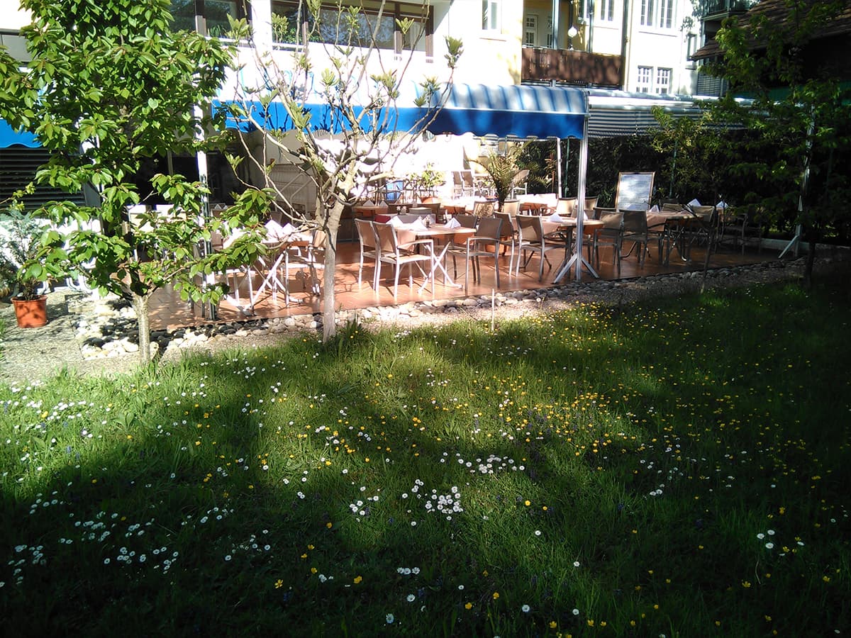 Galerie 23