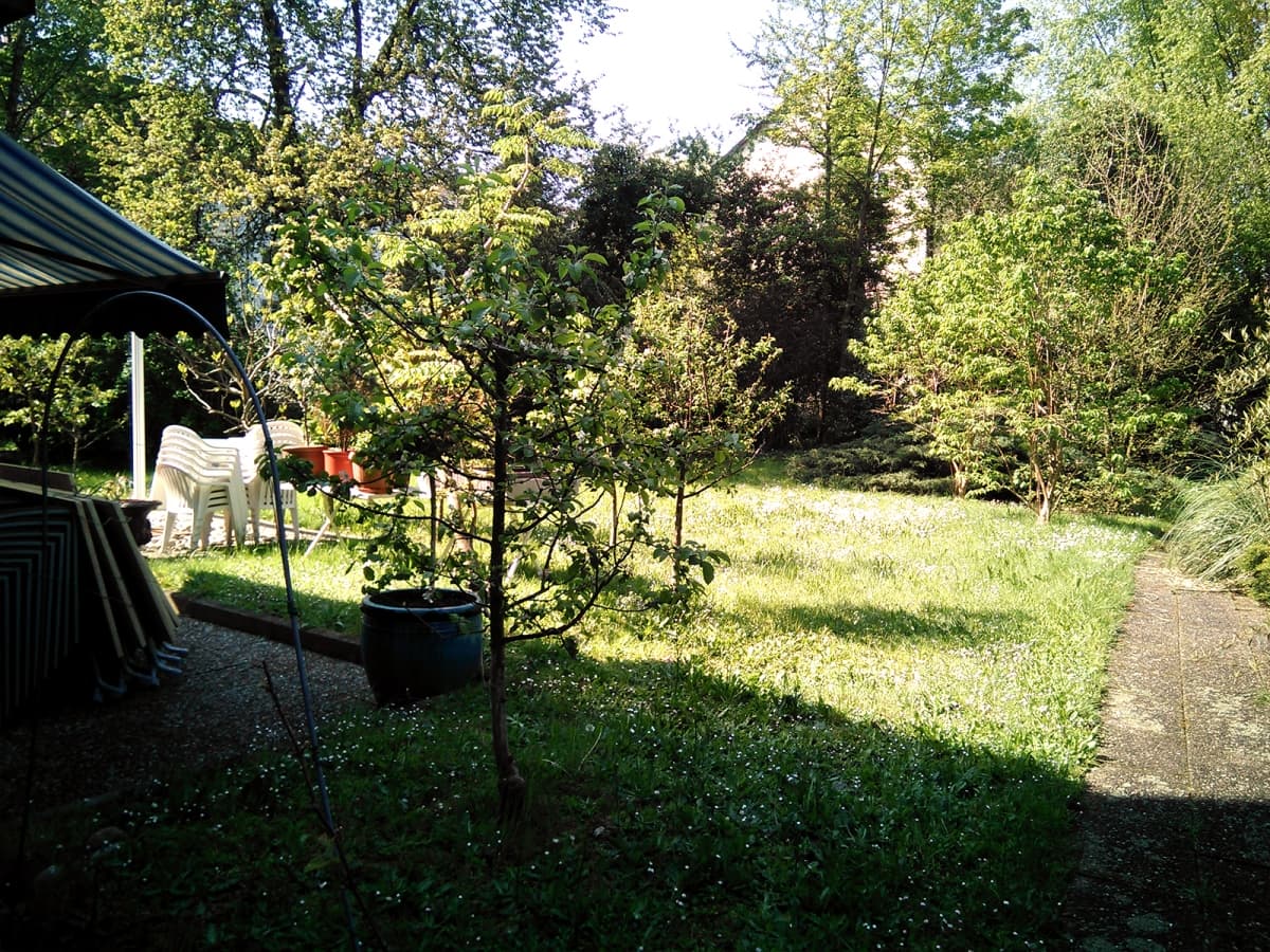 Galerie 26